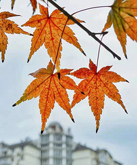 -3�棬��Щ�ط���ѩ��̨�ݷ�����Ҫ���󱨸�