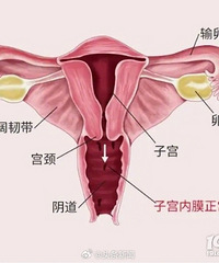 ������������ʹ�����������Թ���