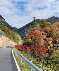 ������죬���ǧ�������������ƺ׹�·��ɽ�����������ɫ��