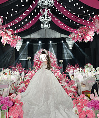 ������߻���ϲ�� 24000