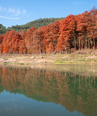 С֥����������ģ������Щ��ʼ�ݻ���