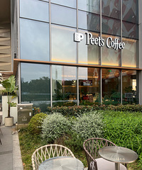 �������ʲô��������ʦү��Ƥү����