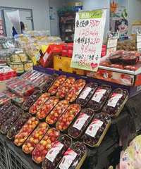 ����1���£��۸���ն��̨���˰��Ե���ζ�����������У�