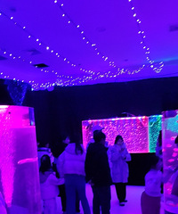 ��������ݣ����������