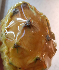 ���۸��᡿���ֹ���Ӧ�þ�������˶�û�Թ������ƴ��Ҫ100