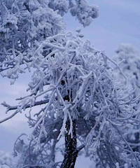 ̨�ݴ˵ص���ڡ���������ˡ�����ȥ������