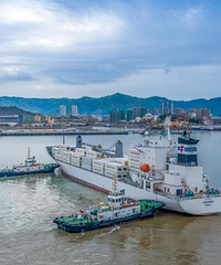 ������������������������¶���