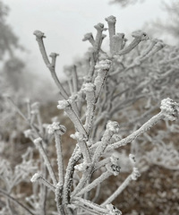 ��ը����̨����ӭ�����׳���ڡ��ǿ��������Ӱ����