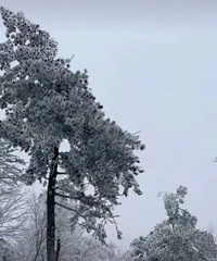 ��ը����̨����ӭ�����׳���ڡ��ǿ��������Ӱ����