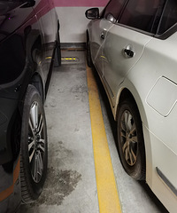 �᲻��ͣ���������ʲô��û��ϵ