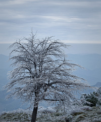 ����ɽ��ڡ