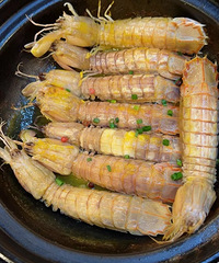 �������ʲô��������������