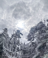 ��̨ɽ��������~ͭ����©~ʯ��������Խ