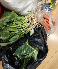 ����˵���е����ⲻ��