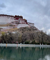 ��2023�μǡ��ഺ�޼ۣ�Ӳ��ֱ������