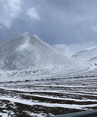 ��2023�μǡ�����-��ľ��һ����