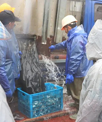 250000���̶ˮ��ӭ������ס����