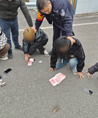 ����20����Ԫ��������Ȼ�Ͷ���Ƶ�й�