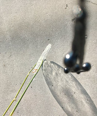 40������ͯ����䣬����