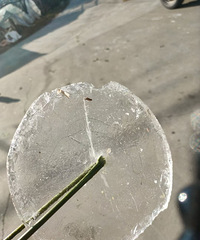 40������ͯ����䣬����