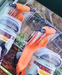 ���빲���綯������ס��