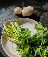 �����Զ쵰Ѽ������ˣ�����˵������ƫ����