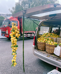 �ϰ��Ƕ������ʵģ��ж����˶��Ǳ����ʴ�������ȥ��