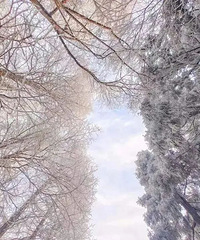 ������ѩ���续����ͨ���ư�ȫ�У�