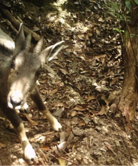 ̨��������ѡ������Ҫ��¼