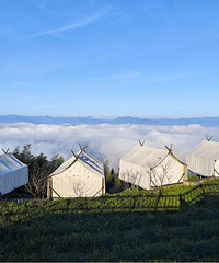 �����19�棡�ո�ȷ�ϣ�̨�������ת