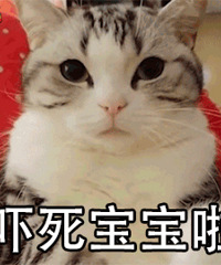 ���ŵ�ɲ����̨��һ�γ����������ǽ��׹��10�׸ߵ�����