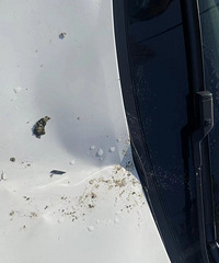 ��ķ����ˣ��㽭���￪��·�ϣ���׶ͻȻ�������������ҳ�������