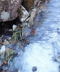 ������·ɽ���~��ɳ�ֳ�~�����~����ɽ��Խ