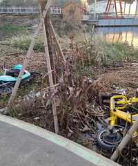 �������û���׬Ǯ��