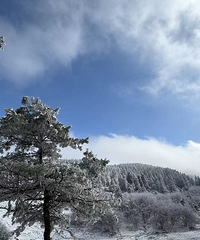 ��2023�μǡ������죡������װ�ع���ɭ���ɾ�