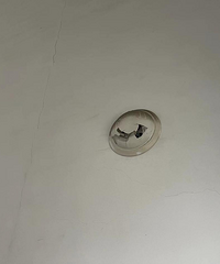 [����]������Է���л����͡���ҵ��������