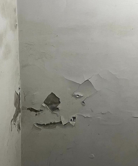 ������Է���л����͡���ҵ��������