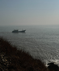 ��2023�μǡ�+�񻷶�ɳС���