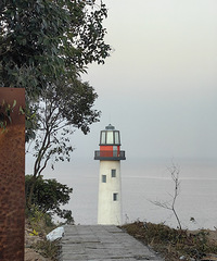 2023��������2024����������