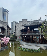 ��2024�μǡ����������Ͻ�