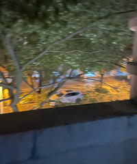 ������ҵ��˭ûȥ������˵��¥