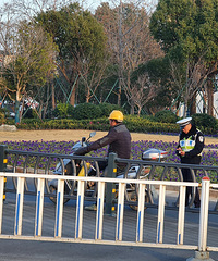 �Ϲ��걨���Ծ�Ϊ�����������ţ����ţ�һ�򵲹����Ī��