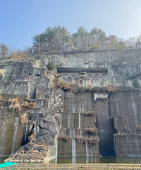 ��2024�μǡ��²�����£��Է���𺳵ģ�ֵ��һȥ