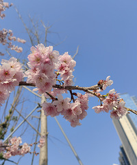 90������MM��ϣ��δ������һ������172+