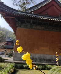 90������MM��ϣ��δ������һ������172+