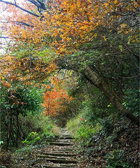 [����]ʡһ���ŵ����ɾ�+1��