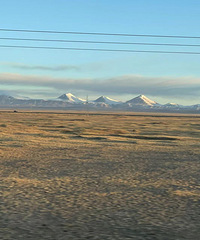 ����µµ��Ϊ��һ�꣬�������˺͸п�