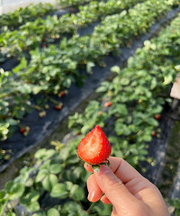 ������������һ�㣬23����20������