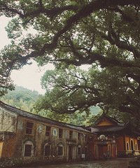 ��2023�����ܽ᡿+ƽ������