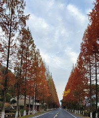 ʱȥٺëɽɽȣȥǼ侲ĺ